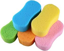 Sponge                                                  