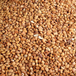 Trad Honey Beans 20 lbs.                                                                   