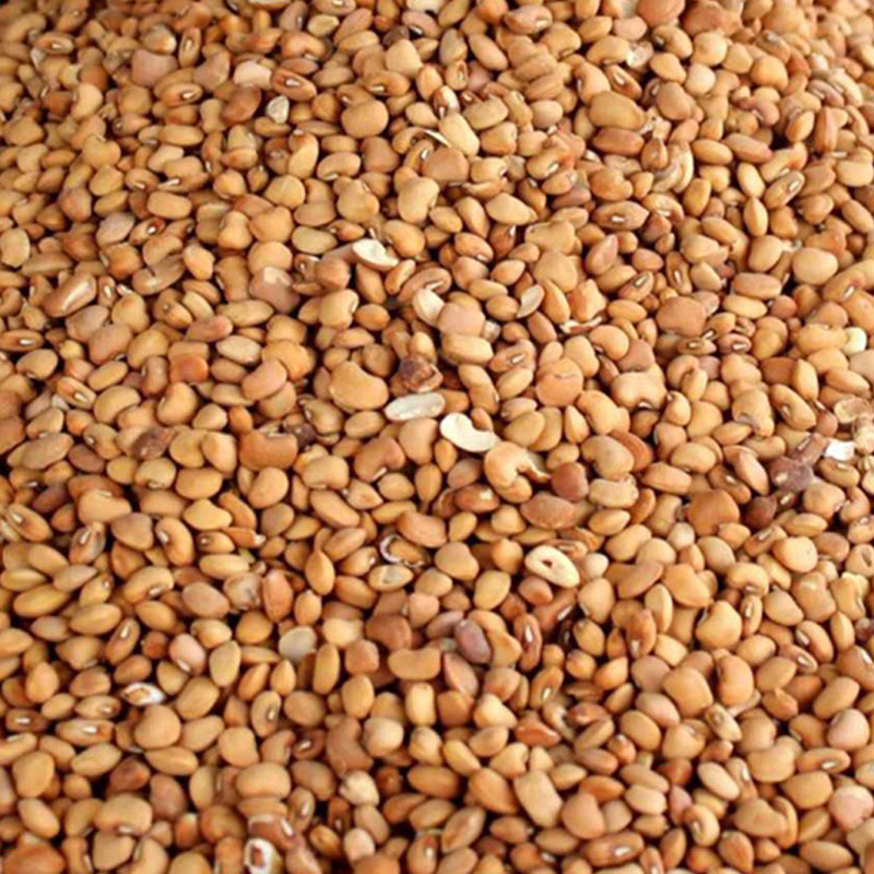 Trad Honey Beans 20 lbs.                                                                   